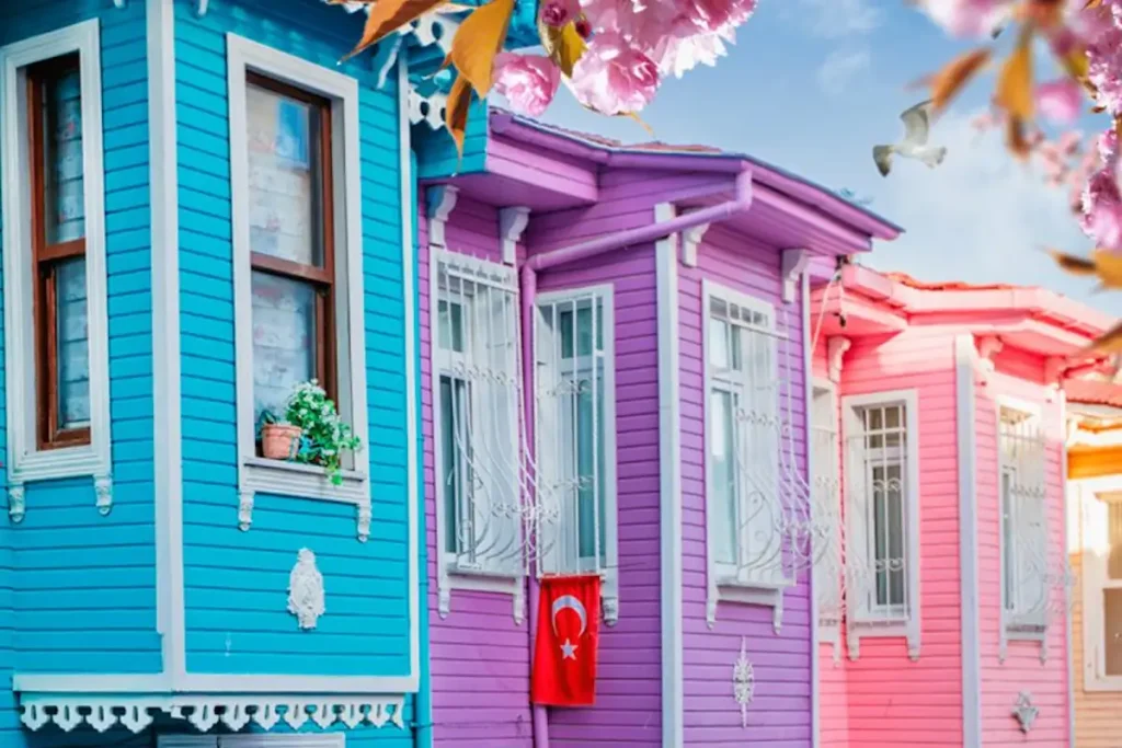 1gundeboyahizmeti bina boyama